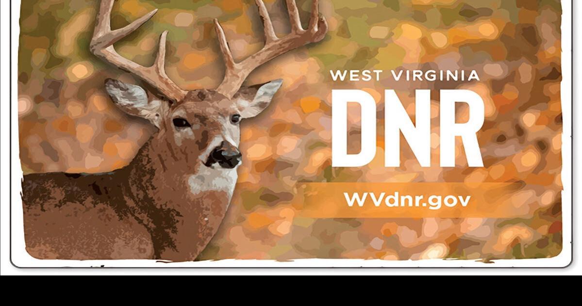 WVDNR announces 2024 hunting, trapping, fishing licenses now on sale