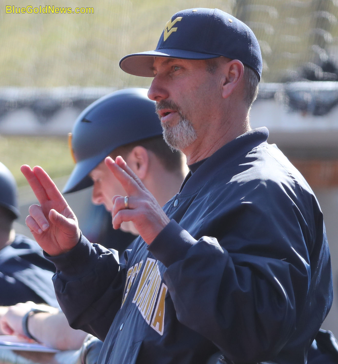 Mazey: Change Necessary For College Baseball | | Wvnews.com