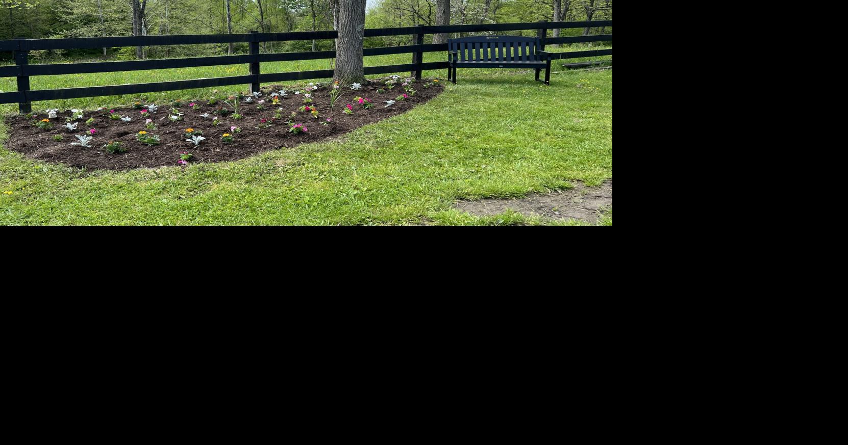 Preston County Animal Shelter Bed