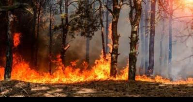 Steep Valley Fire in NRG National Park and Preserve reaches 2,000 acres - Vimarsana News