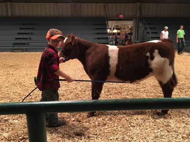 Double J Farms' calves shown in 4H events Bridgeport News