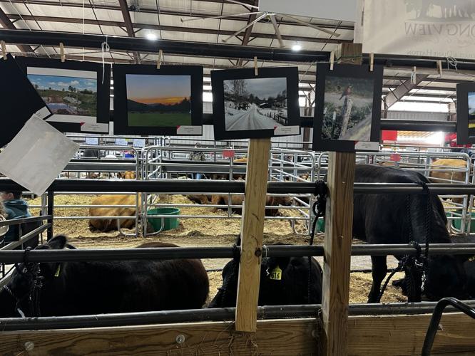 Jackson's Mill hosts 2024 West Virginia Beef Expo