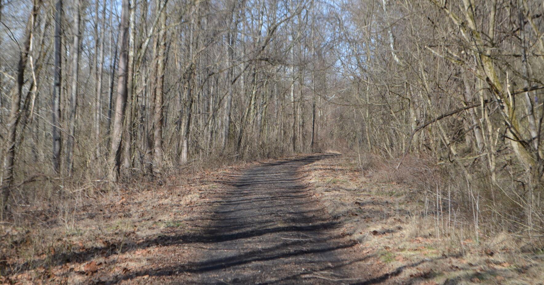 Funds allocated for 61 outdoor recreation projects in 34 West Virginia counties - Vimarsana News