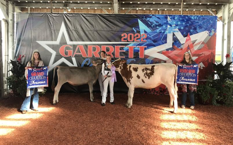 4H Dairy Cattle Results Garrett News