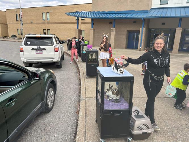 Creature feature BuckhannonUpshur High School's BU Zoo to hold