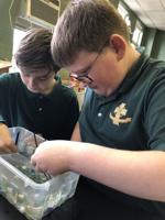 Students learn about animal adaptations at St. Pat's