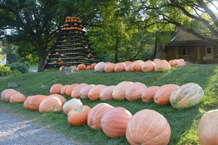 Pumpkin Farm at Saltwell reopens in Bridgeport, West Virginia, for family memories, seasonal fun