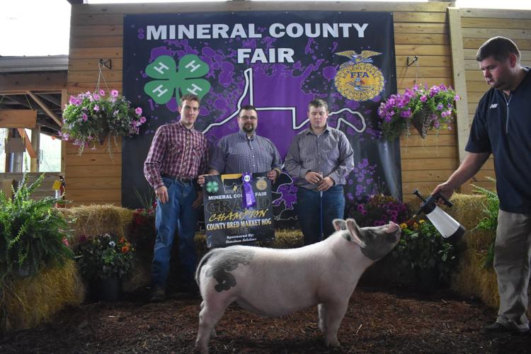 Top Hogs at the Mineral County Fair | Mineral County WV News and ...
