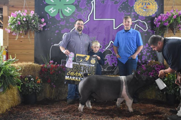 Top Hogs at the Mineral County Fair | Mineral County WV News and ...