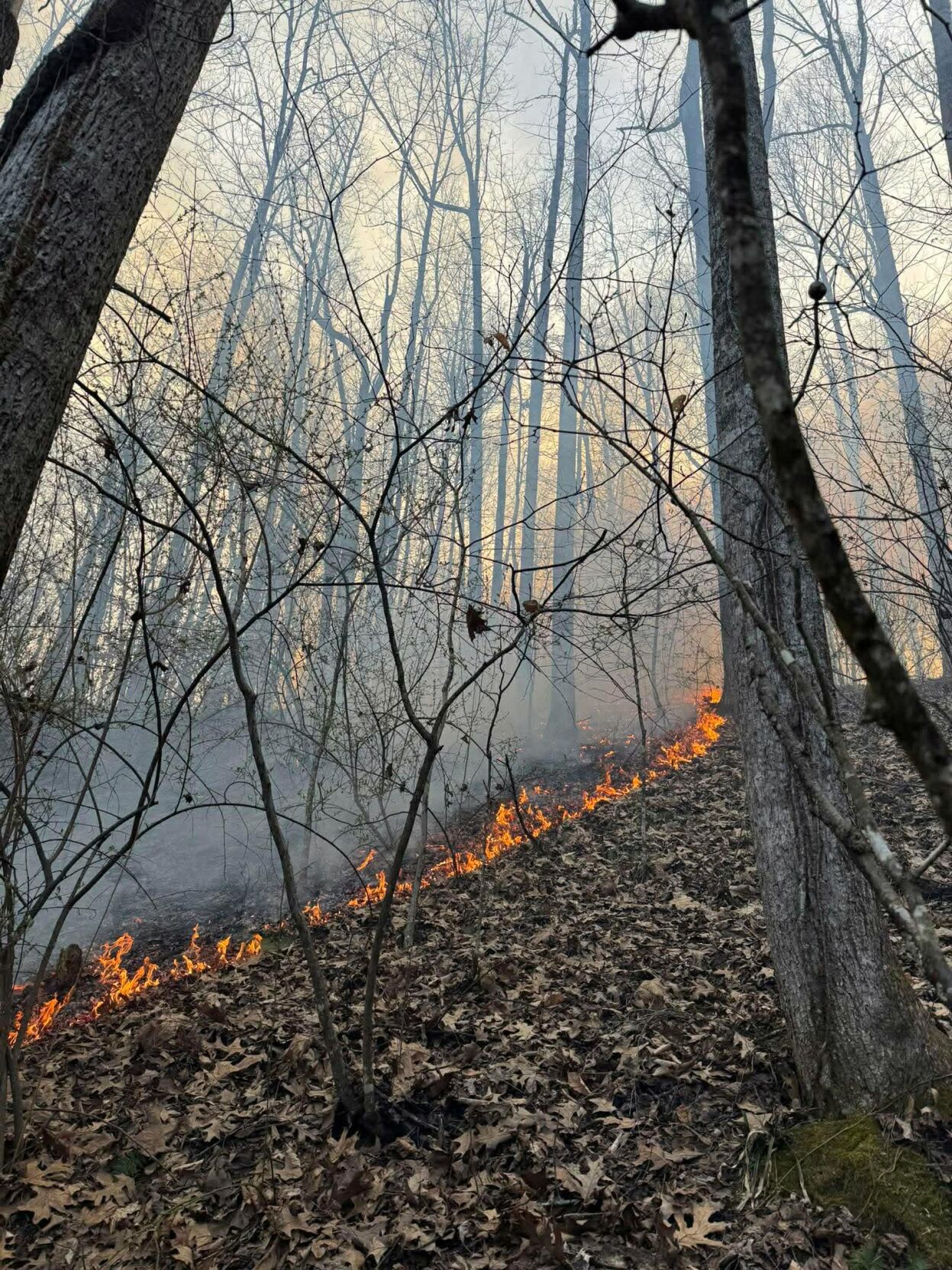 Spring Manor Rd Fire Spring fire danger returns with warning from local firefighters ...