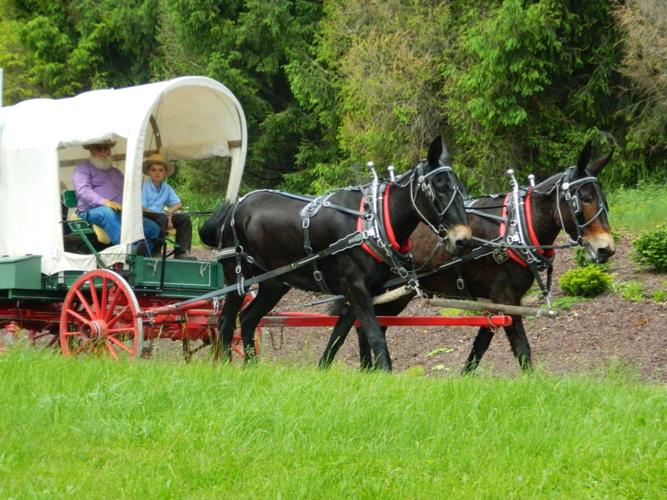 National Pike Wagon Train set for 46th trek Garrett News
