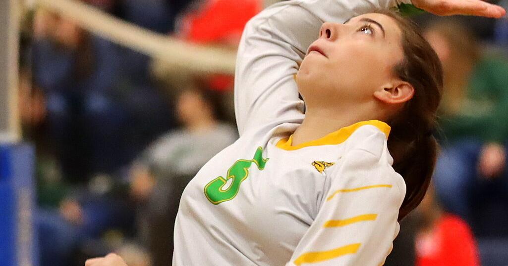 Volleyball players from Doddridge County, South Harrison earn allLKC
