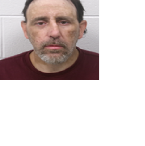 Westernport traffic stop leads to drug, firearm charges