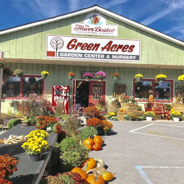 Green Acres Garden Center Flower Basket Marks 35 Years In Green Acres Garden Center Flower