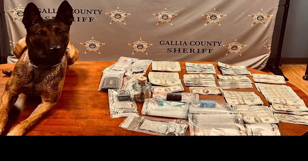 Arrest made following search in Gallipolis, Ohio, finds drugs, cash, weapons Gallipolis News