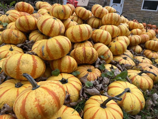 Fall fun awaits in North Central West Virginia Harrison Lifestyles