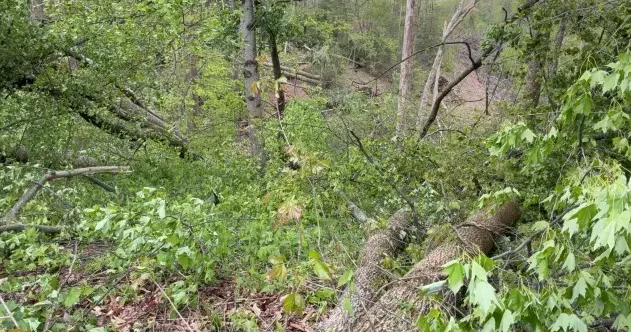 EF1 tornado hits Fayette County, first in West Virginia since 2024