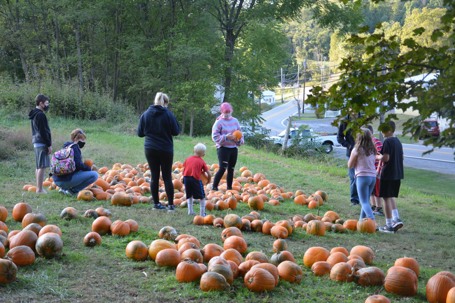 pumpkin patch near clarksburg wv