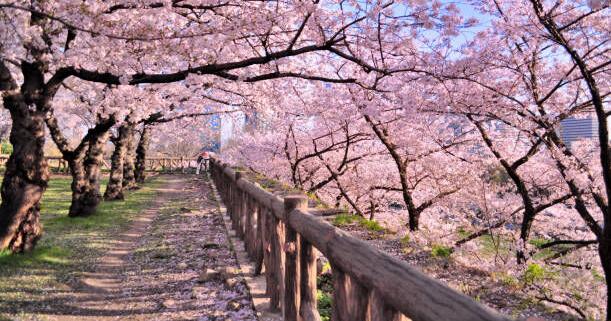 Brewing Locally Image