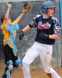 Mineral County Little League > Home