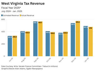 Jan Tax Revenue