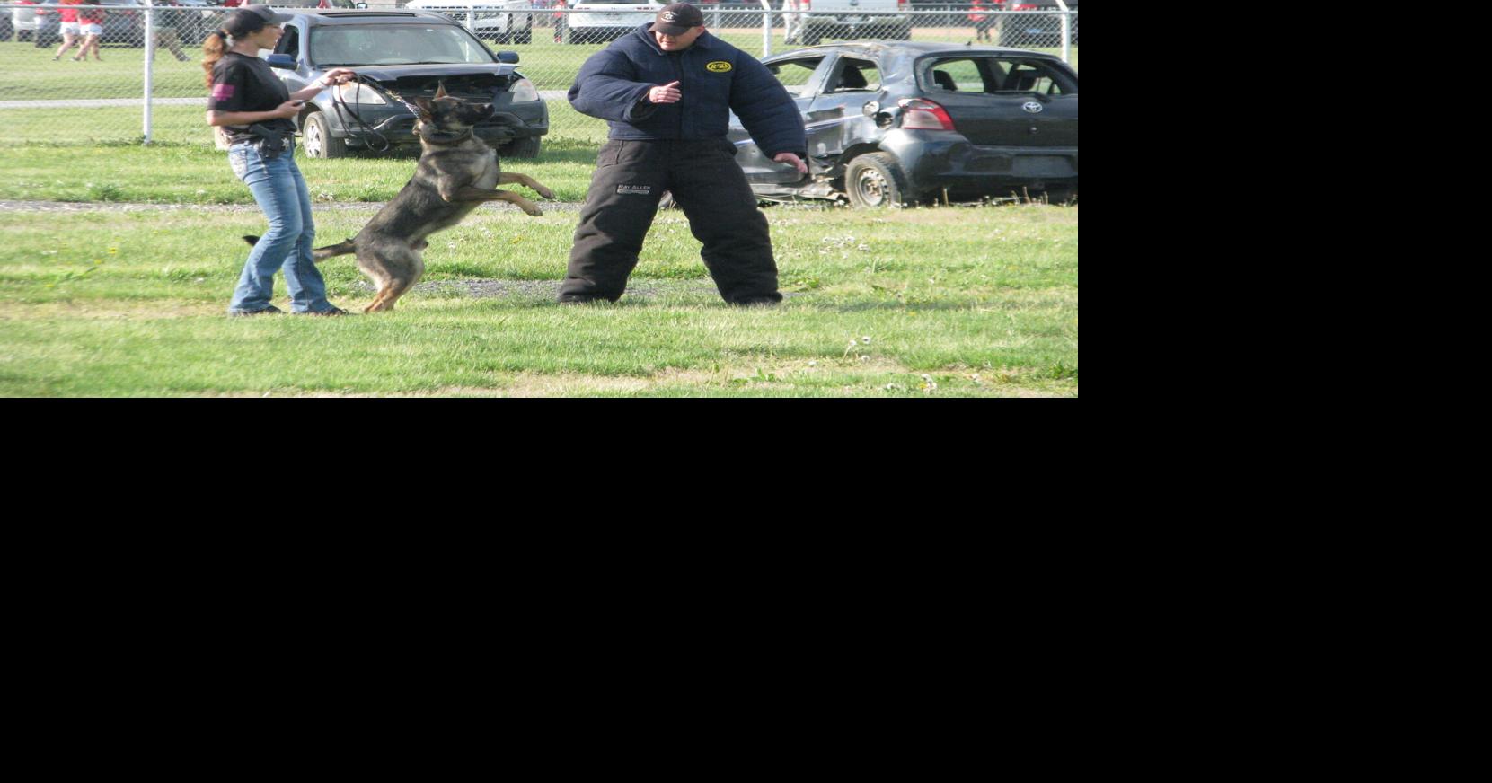 Commission considering opioid grant for K-9 officers