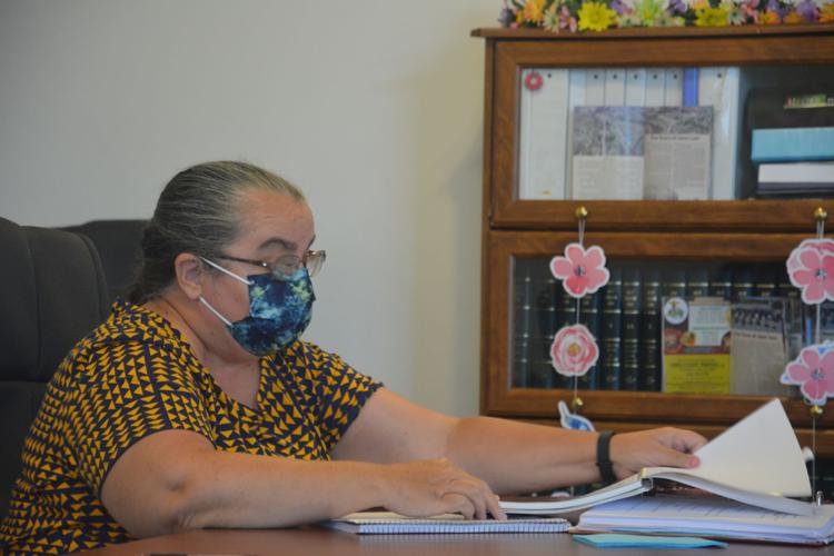 Jane Lew (West Virginia) Park Building changes to be considered in June