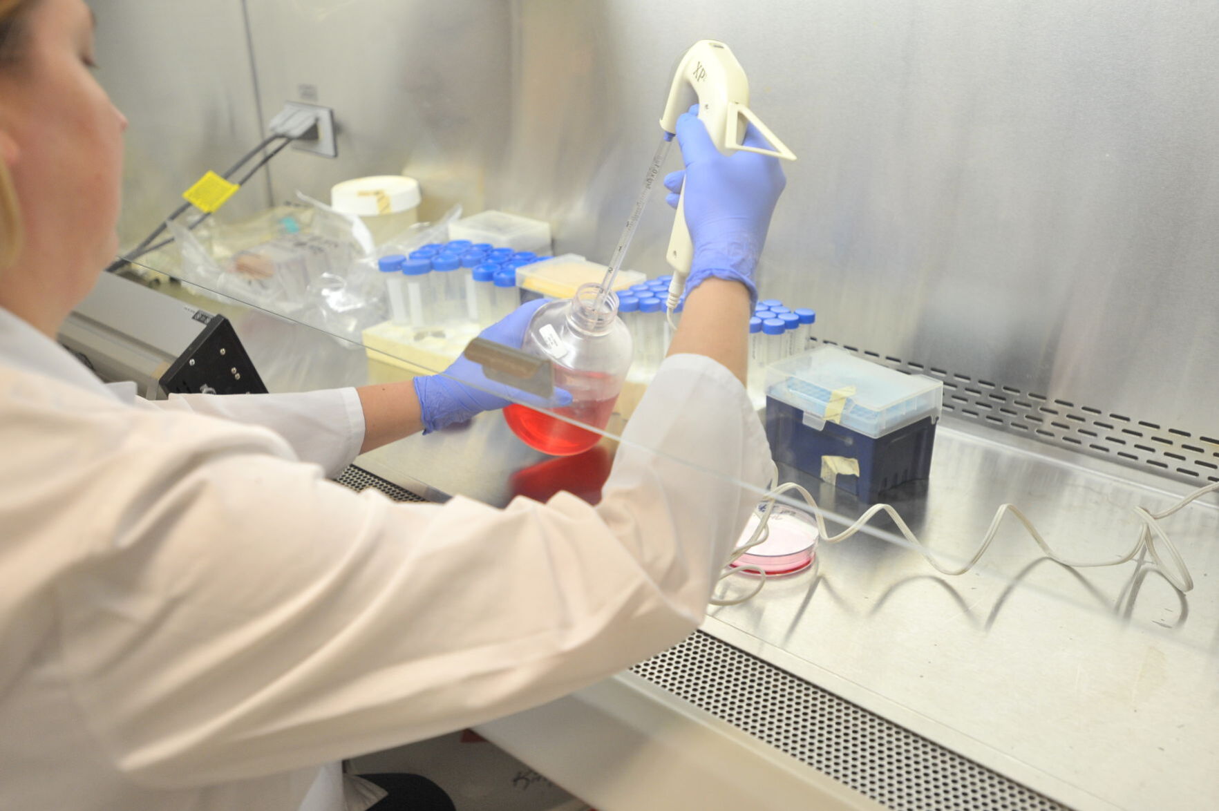Marshall University Research Corporation hopes to change lives of students involved, benefit West Virginia in positive ways - Vimarsana News