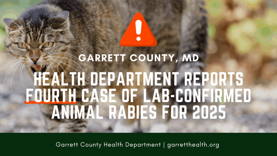 Fourth rabies case of 2025 follows feral cat attacks | Garrett News ...