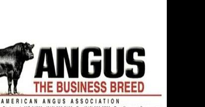 American Angus Association adds new local members - Vimarsana News