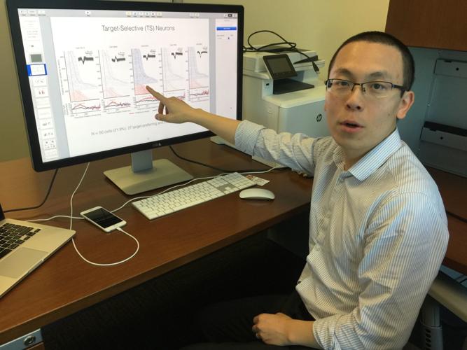 Beautiful Minds: WVU's Shou Wang goes deep into brain function to ...