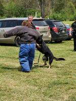 Pursley participates in a K-9 demonstration