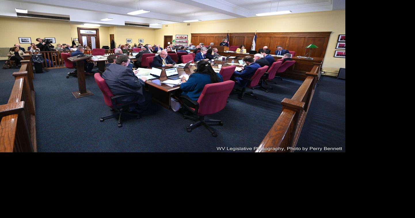 West Virginia House Health Committee considers Medicaid buy-in program ...