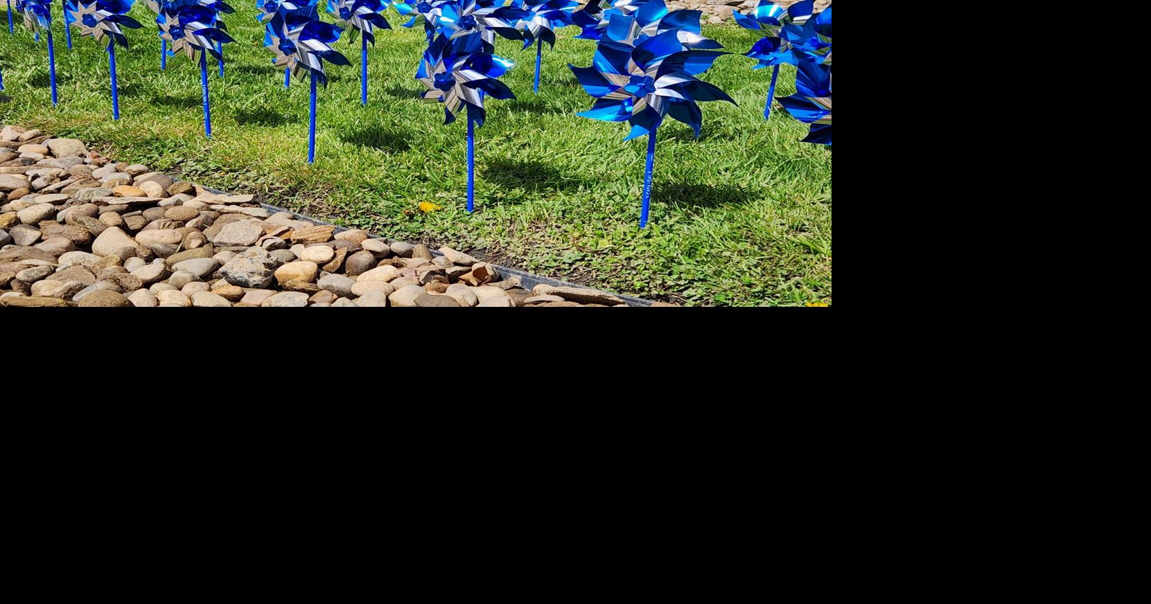 CASA pinwheels | | wvnews.com