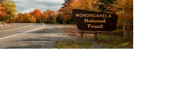 Monongahela National Forest Proposes Fee Modifications for Amenities, New Fire Tower Rental and Campgrounds from 2025 - Vimarsana News