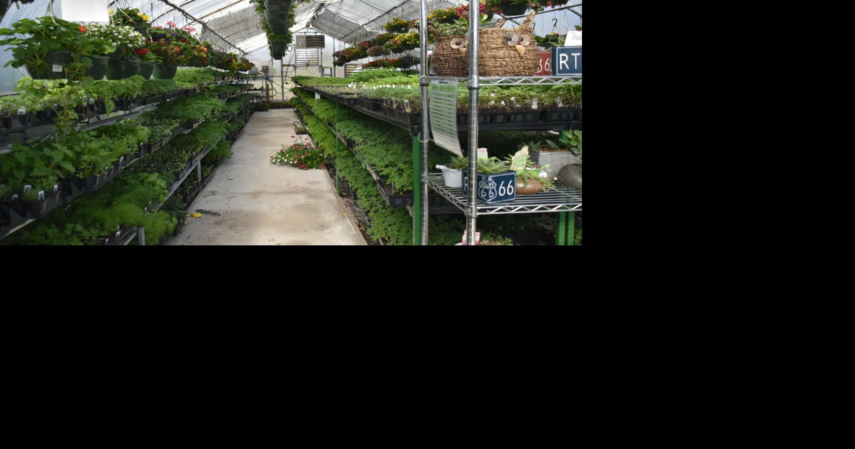 Preston County greenhouse is open for business Preston