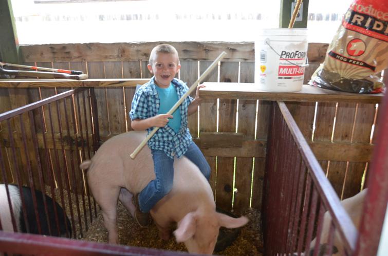 Barbour County Fair provides education and fun Local News for