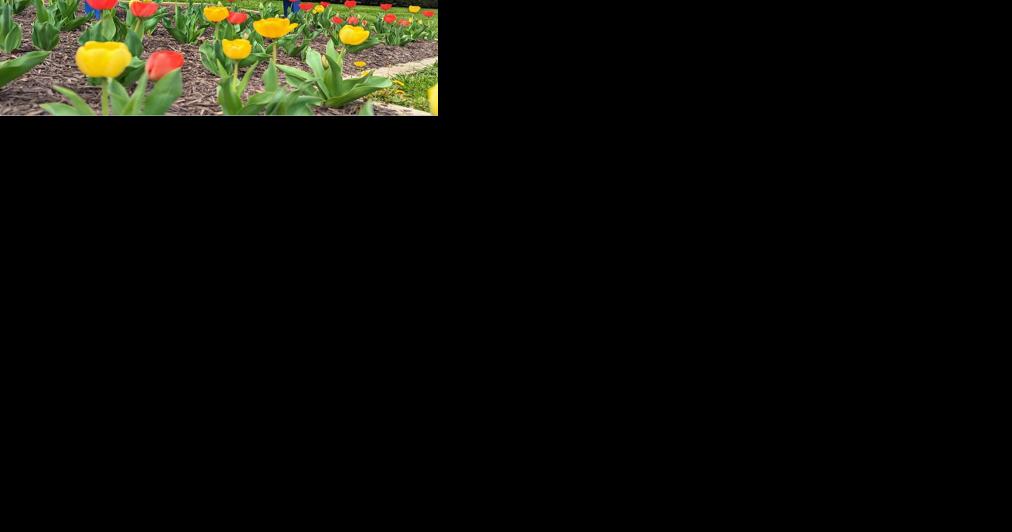 From bankruptcy to blooming: WVU Medicine Thomas Health enjoys great growth, expansion in short span - Vimarsana News