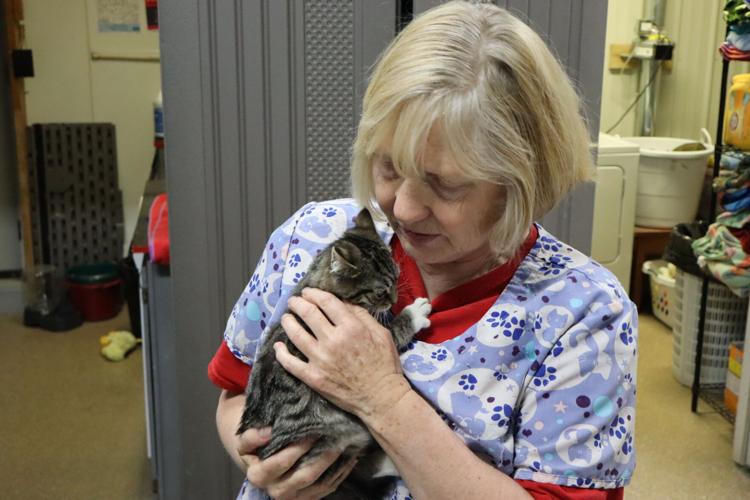 Preston Animal Shelter Temporary home for plenty of stray, furry