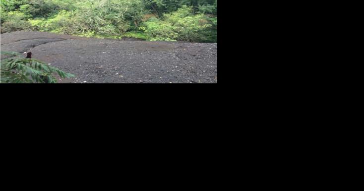 EPA to conduct soil sampling in North View community of Clarksburg (West Virginia) - Vimarsana News