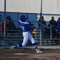 Aman pitches Lewis County past Bees