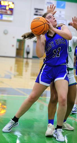 BU #11 eyes the basket.JPG