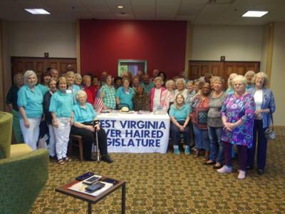 Silver Haired Legislature Reps Meet In Flatwoods Lifestyles
