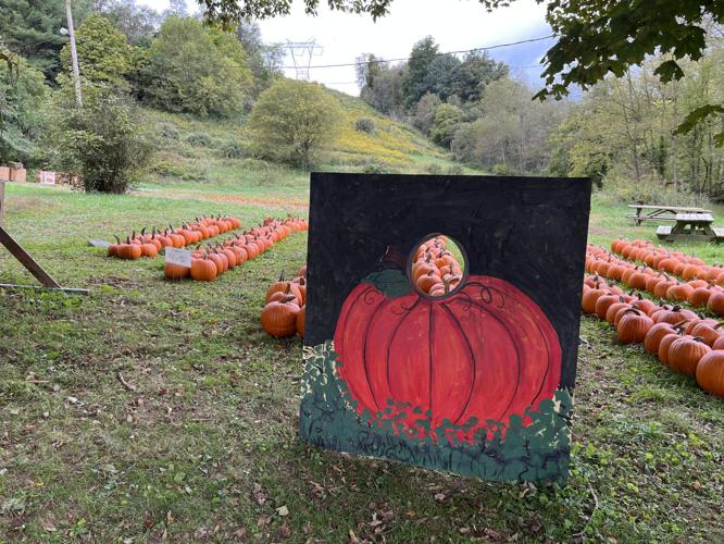 Fall fun awaits in North Central West Virginia Harrison Lifestyles