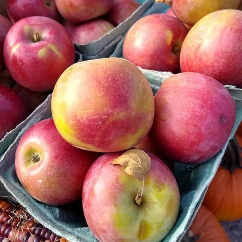 Meigs County Farmers Market planned for Saturday Gallipolis, Pomeroy, Point Pleasant and Mason