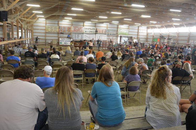 Family fun attracting West Virginians to Taylor County Fair WV News