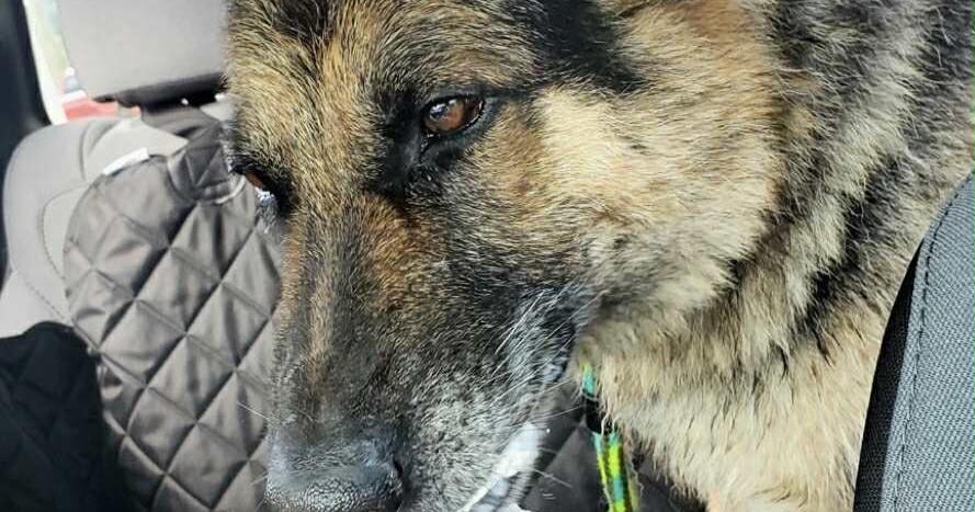 Brewing Locally Image