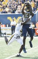 West Virginia earns high marks in blowout of Towson