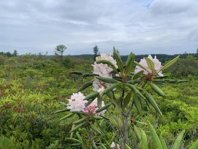 National group aims to reduce, remediate overuse impacts at West