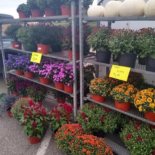 Meigs County Farmers Market planned for Saturday Gallipolis, Pomeroy